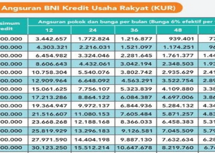 Tabel Angsuran KUR BNI 2025 Plafon Rp50 Juta hingga Rp500 Juta