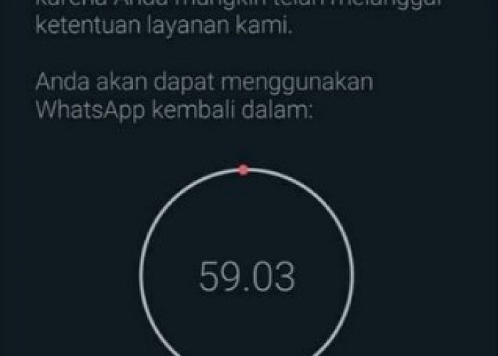 Biar Nggak Penasaran Lagi Ini Tanda Whatsapp Anda Diblokir Atau Tidak