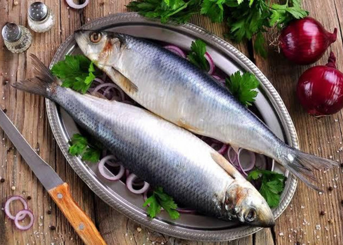 Kamu Wajib Waspada! Berikut 5 Ikan yang Harus Di Pantang Penderita Darah Tinggi
