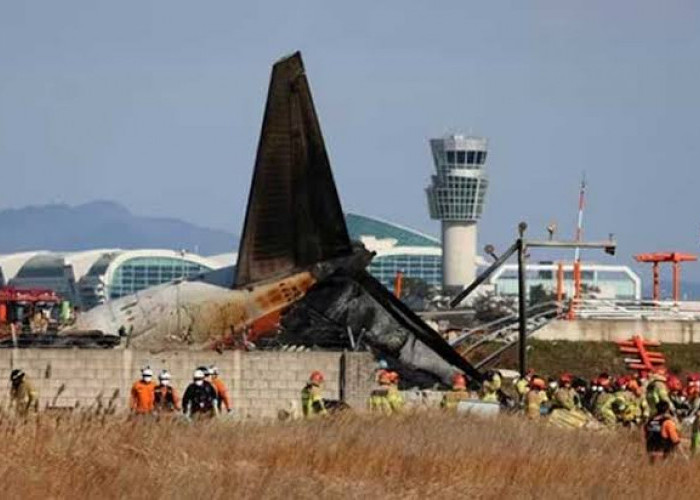 Pesawat Jeju Air Jatuh di Korea Selatan, 28 Tewas, Penyebabnya Tabrak Burung