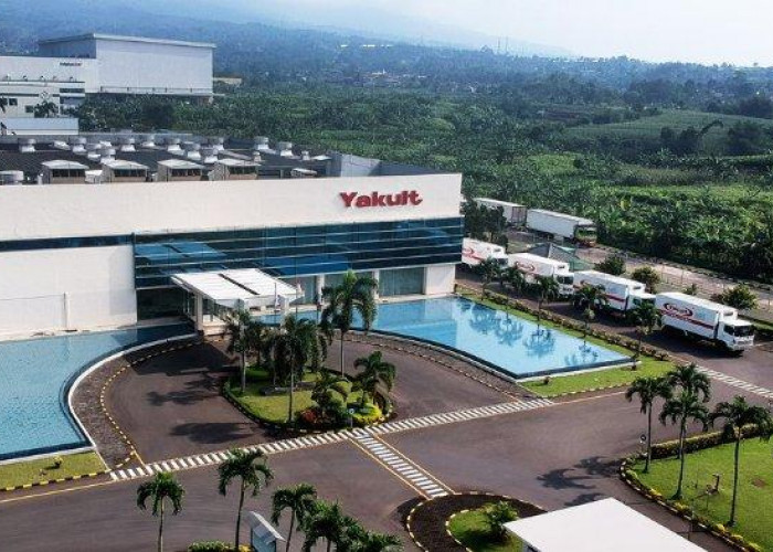 Info Loker PT Yakult Indonesia Persada, Lulusan SMA/SMK Bisa Daftar, Cek Disini