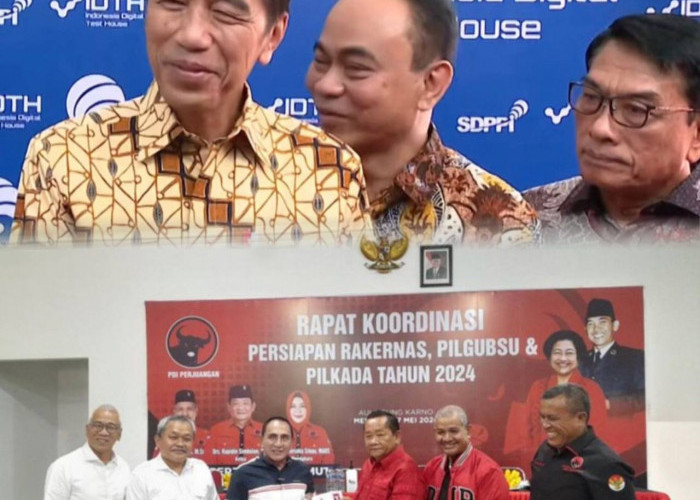 Fotonya yang Tak Terpasang di Kantor PDIP Sumut, Jokowi Beri Komentar Santai