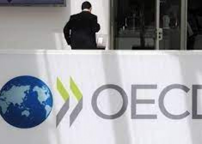 Indonesia Jadi Negara Asia Tenggara Pertama yang Gabung OECD, Selamat!