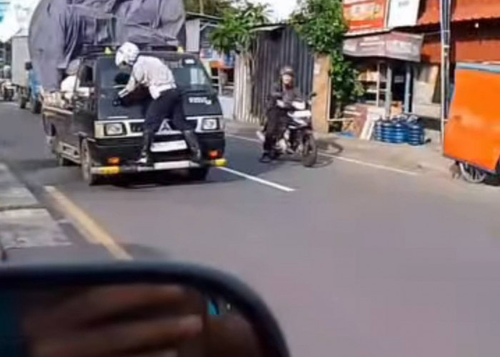 VIral! Petugas Dishub Kota Depok Nyangkut Diatas Kap Mobil Pikap, Pengemudi Tetap Tancap Gas