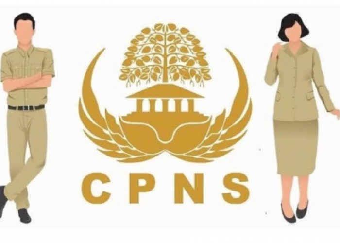 Link Pengumuman Hasil Tes SKD CPNS 2024 Lengkap