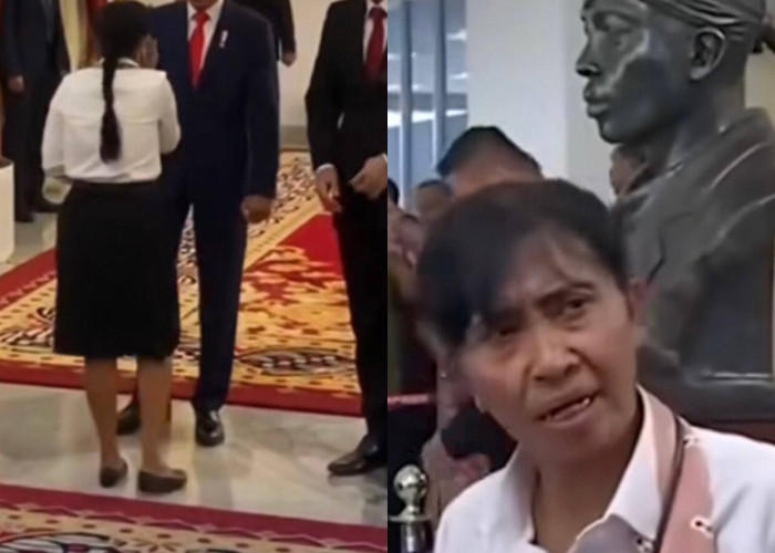 Sosoknya Viral Saat Bebas Temui Presiden Jokowi Tanpa Dihadang Paspampres, Siapa Sebenarnya Erlin Suastini?