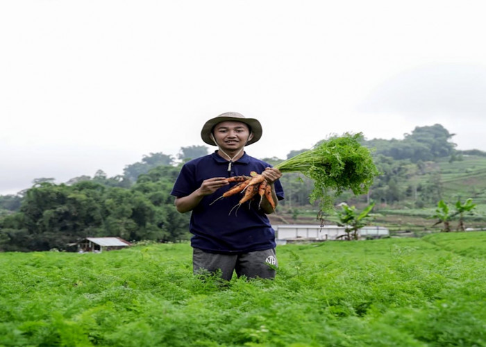 Kriteria dan Syarat Jadi Petani Milenial dengan Gaji Rp10 Juta Tiap Bulan