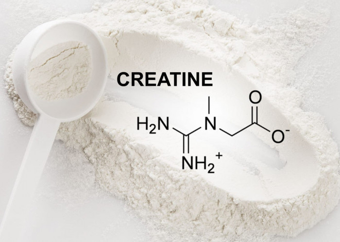 Mengenal Creatine dan Manfaatnya, Bisa Wujudkan Bentuk Tubuh Ideal Lho !