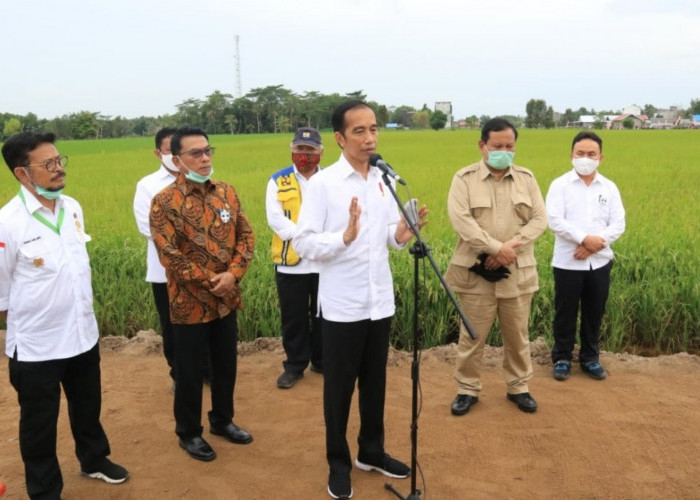 Jokowi Tegaskan Ogah Biayai Food Estate Pakai Dana APBN