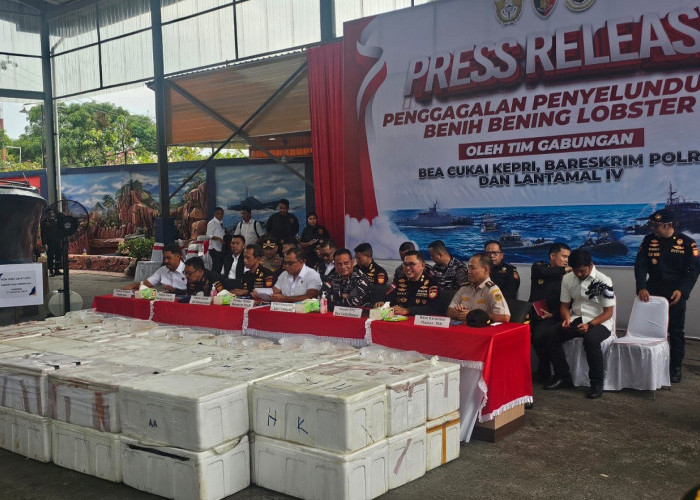  Benih Lobster Rp23,6 Miliar Diamankan, Bareskrim: Bakal Diselundupkan ke Luar Negeri