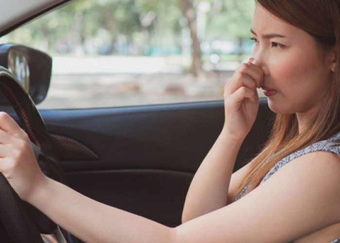 Simak 6 Tips Menghilangkan Aroma Tidak Segar pada Kabin Mobil