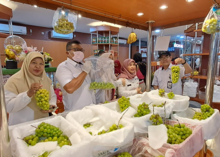 Terungkap! Segini Kandungan Residu Pestisida Pada Anggur Shine Muscat Asal China yang Beredar di Indonesia