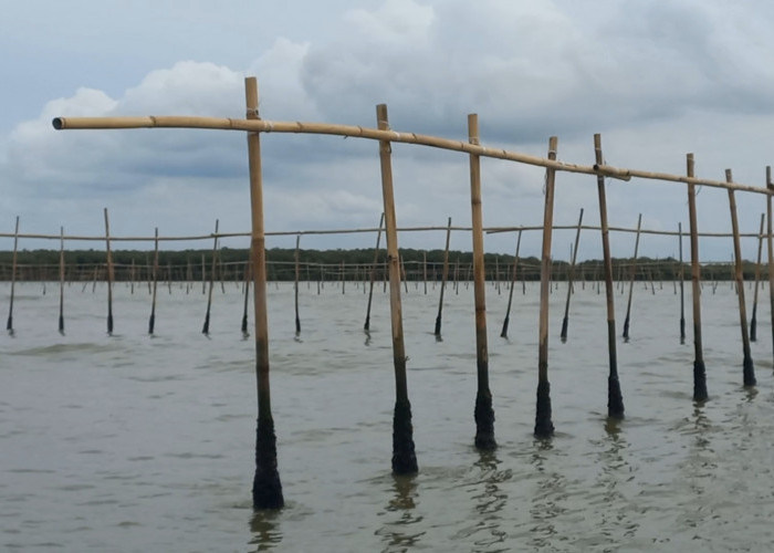 Agung Sedayu Diduga Terlibat Pemasangan Pagar Laut, DPR: Proses Hukum Harus Dilakukan