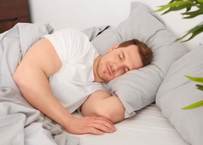 Manfaat Tidur Siang: Melejitkan Produktivitas dan Kesejahteraan Anda